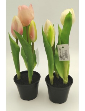 Cserepes gumi tulipán 2