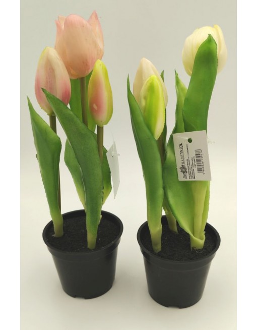 Cserepes gumi tulipán 2