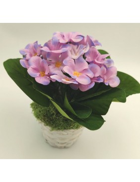 Selyem fokföldi ibolya kaspóban