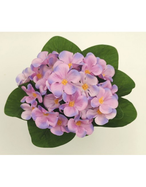 Selyem fokföldi ibolya kaspóban