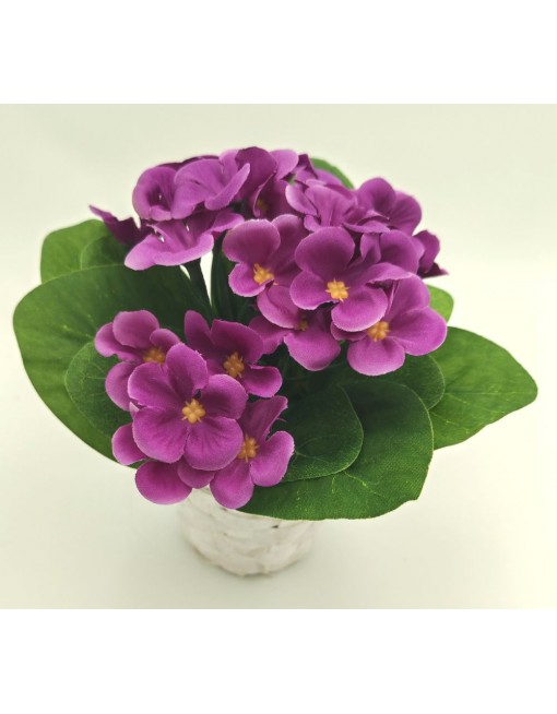 Selyem fokföldi ibolya kaspóban