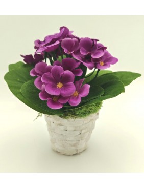 Selyem fokföldi ibolya kaspóban Selyem fokföldi ibolya kaspóban