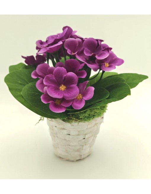 Selyem fokföldi ibolya kaspóban