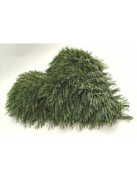 Műfenyő alap - szív