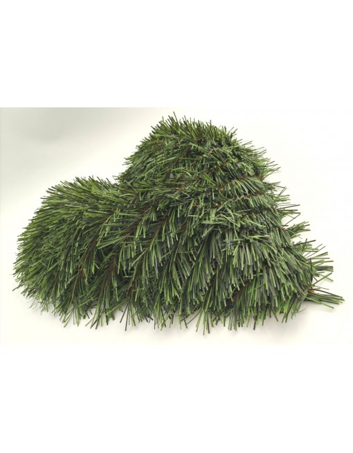 Műfenyő alap - szív