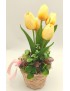 Kosár sárga tulipánokkal