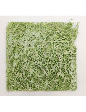 Fa gyapot alap, 18 cm