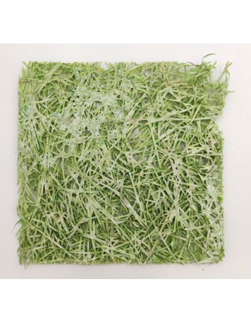 Fa gyapot alap, 18 cm