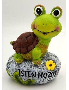 Teknős, csiga kövön