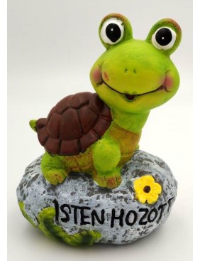 Teknős, csiga kövön